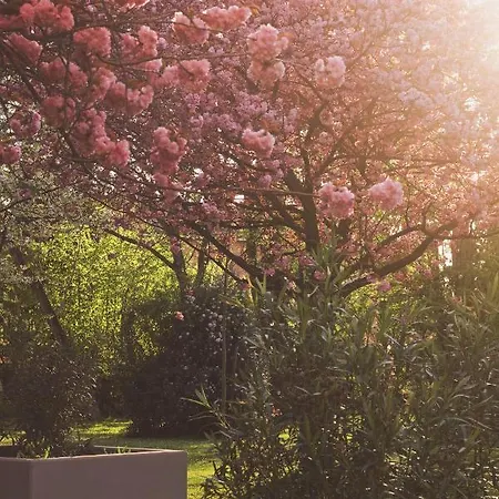 San Martino ベッド・アンド・ブレックファスト 4*