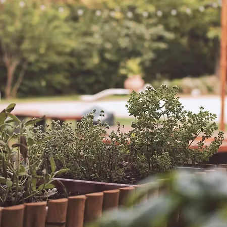 ベッド・アンド・ブレックファスト San Martino San Martino in Rio