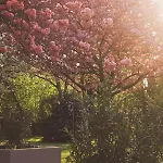 San Martino Frühstückspension 4*