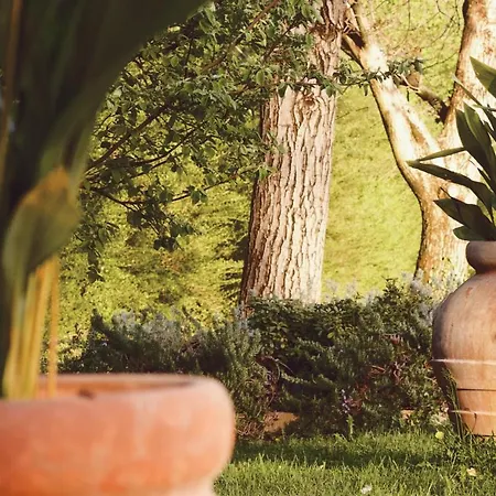 San Martino Bed and Breakfast