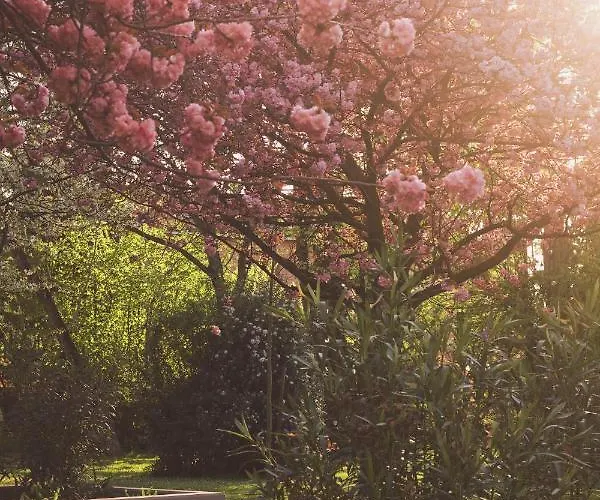 San Martino Frühstückspension 4*