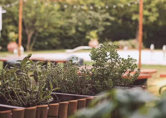 B&B San Martino San Martino in Rio